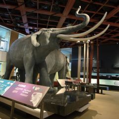 2層樓高的大象和其他 種史前動物模型，見證著台灣曾與中國大陸板塊相連。