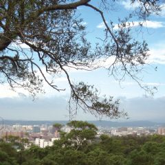 從山上登高遠眺，新竹都市景觀映入眼簾。