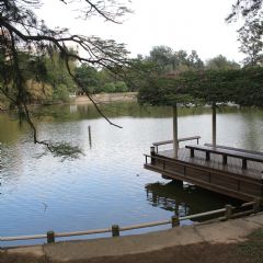 清大成功湖畔涼亭可全覽湖景。（攝影：王妍恩）